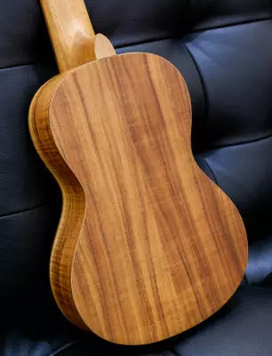 Denver - Guitar Ukulele 2